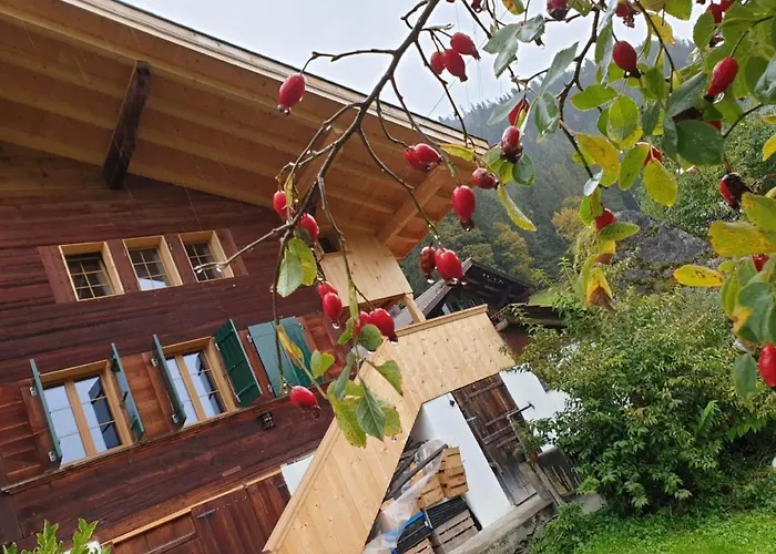 펜션 In Grubenwald Fuer Max- 3 - 4 Pers- By Interhome 츠바이지멘